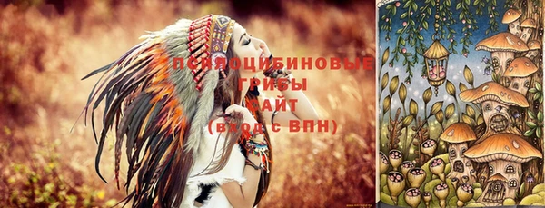 2c-b Заволжье