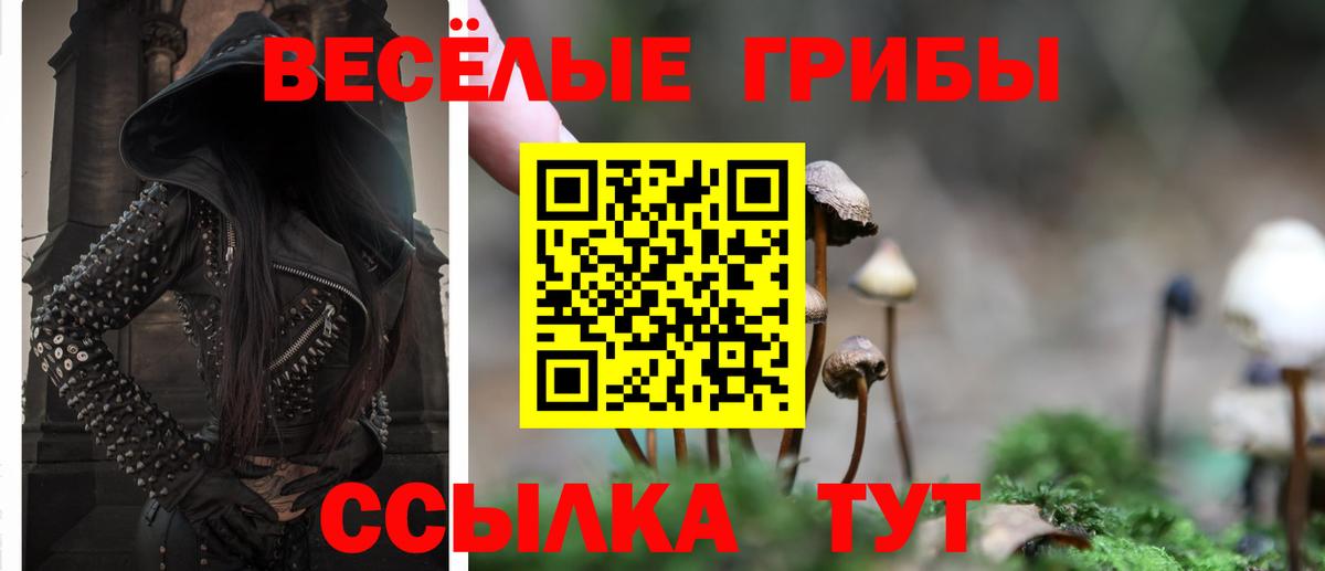 Зерноград  Псилоцибиновые грибы мицелий  купить наркоту  Вход с VPN 
